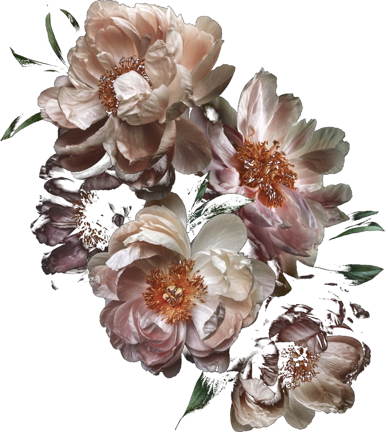 Blush and cream peonies for the Fashioned in His Image theme